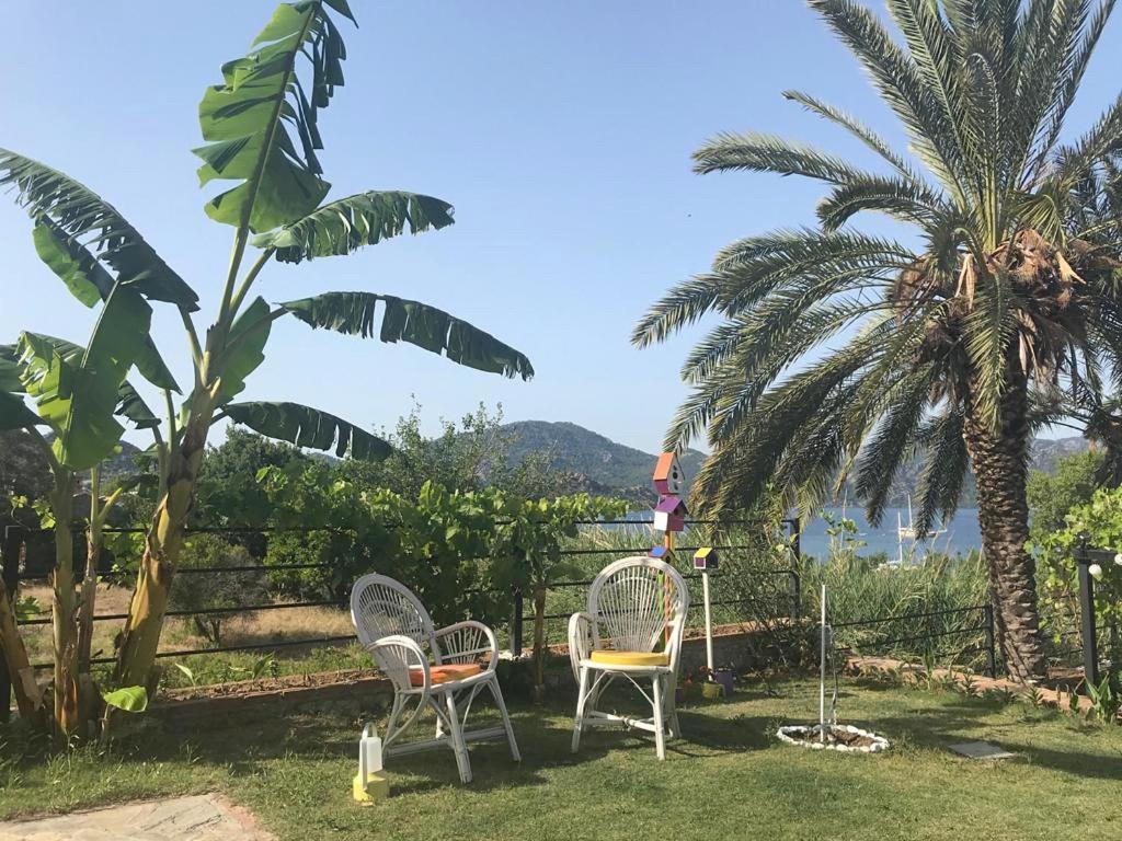 Hotel Gala Selimiye Selimiye  Esterno foto
